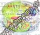 Image of Ridata DVD+R 16x 25cake (IT6266)