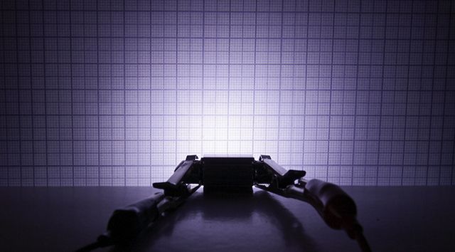 Image of LED izzó Szofita 36mm 3x5050 SMD *Hideg Fehér* Canbus hibamentes (IT9902)