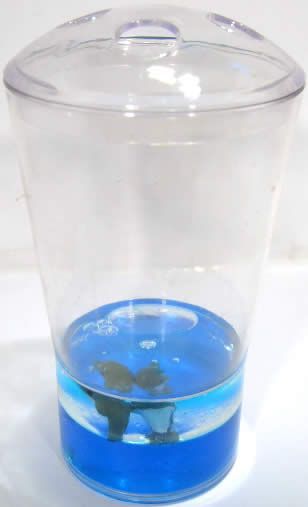 Image of Bathroom Set *blue* *dolphin* (IT4069)