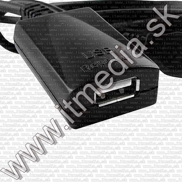 Image of USB 2.0 Cable extender, **REPEATER**, 5m (IT4652)