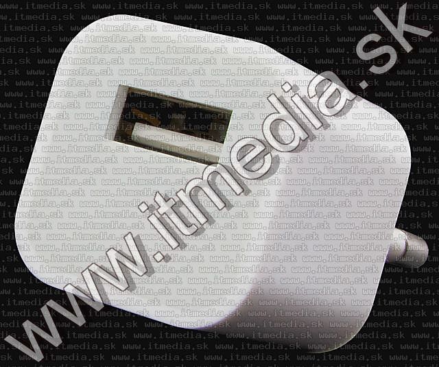 Image of Universal USB *mini* charger 1000 mA White (IT5486)