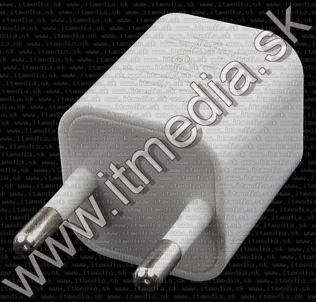 Image of Universal USB *mini* charger 1000 mA White (IT5486)
