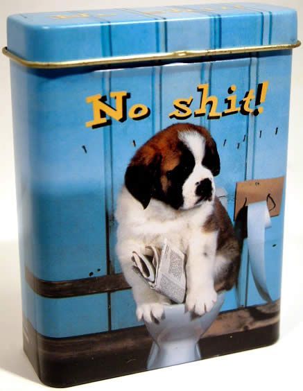 Image of Metal Cigarette Box 25x70x90mm *No Shit* (IT3366)