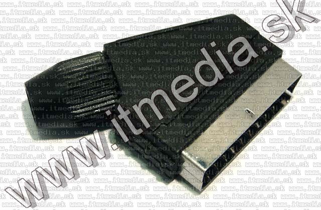 Image of SCART connector *Male* (IT4517)