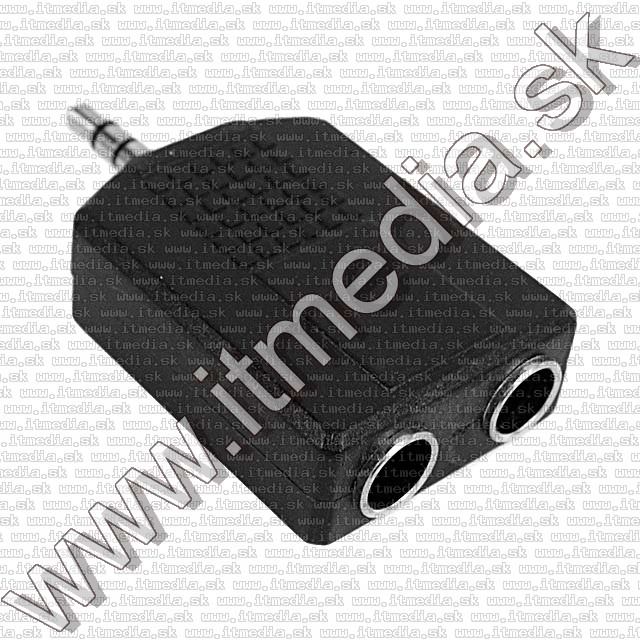 Image of Jack (3.5 STEREO) - 2x Jack (6.3 MONO) converter (IT5249)