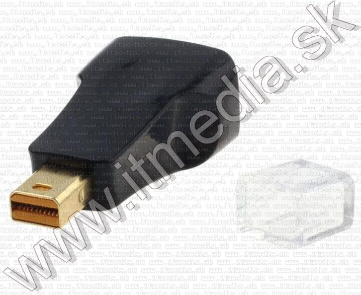 Image of Mini DisplayPort apa -> VGA anya konverter (IT12226)
