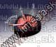Image of Ashtray lung shape with scary sounds (IT0823)