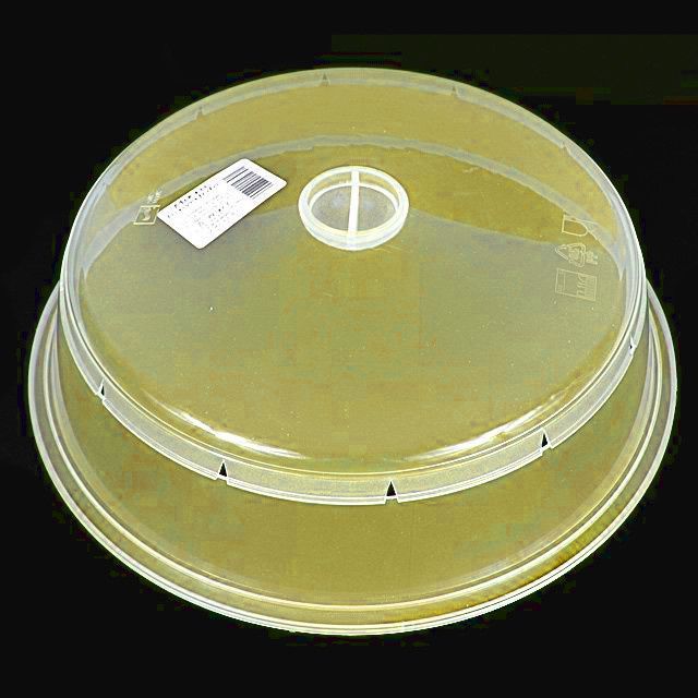 Image of Mikro tányérfedő 25cm Sárga INFO! (IT9625)