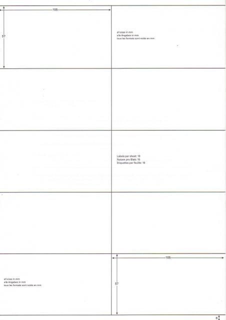 Image of Europe 100 self-adhesive labels A4 (10*)105x57mm (22) (IT5707)