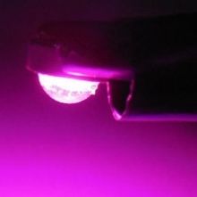 Image of Led Lamp Bead Diode *GROW LIGHT* 3watt 3.3V 700mA (IT12907)