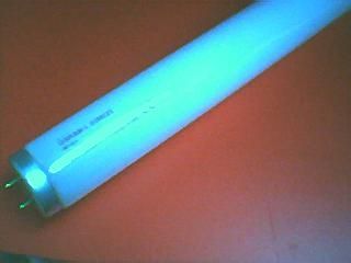 Image of UV fénycső rovarcsapdához F6 T5-BL 21cm (világoskék fényű) (IT0498)