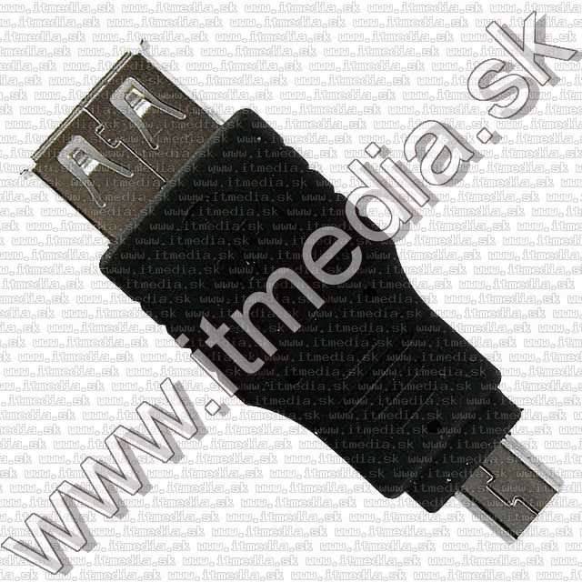 Image of IT Media miniUSB (Changer) Adapter (USB-Af/miniUSB-Bm) (IT7816)