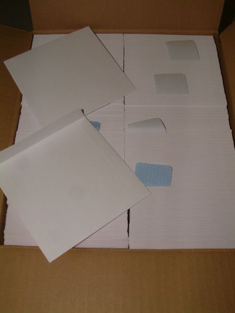 Image of **B** Paper CD Sleeves, ***OEM*** nowindow (IT0292)