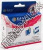 Olcsó Epson ink (GnG) 0T801 *black* (IT1956)