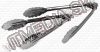 Olcsó Metal Ice Clip 2pcs (IT5861)