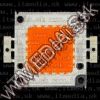 Olcsó Led Lamp Diode *RED* 30watt 130lumen 900mA 33V (IT12050)