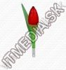 Olcsó Roxanne Perfume Clone (30ml EDT) *Tulip Red* *W32* (IT9616)